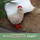 Chicken Knitting Pattern
