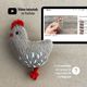 Chicken Knitting Pattern