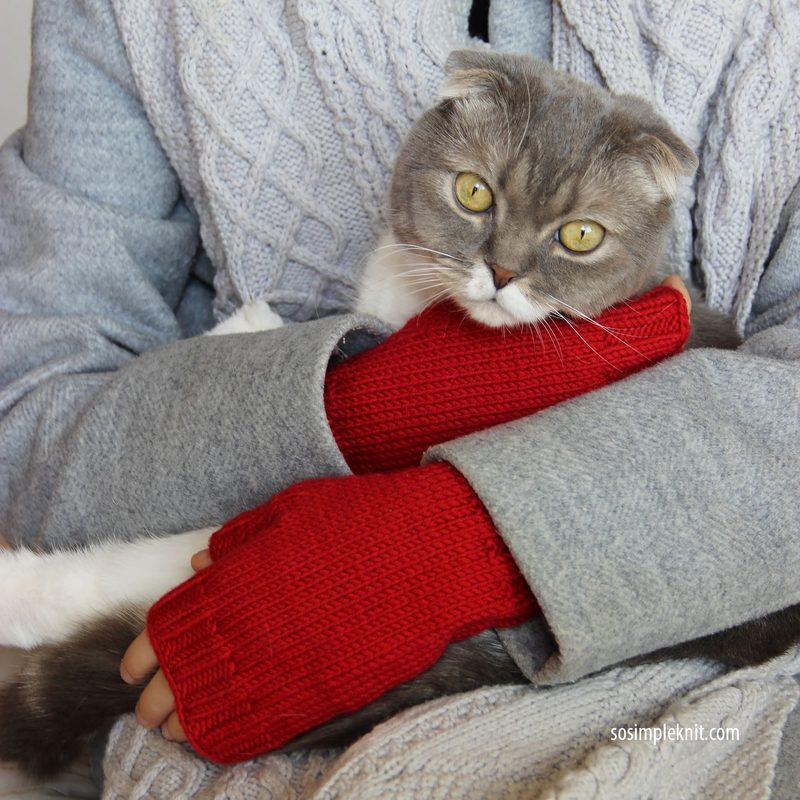 A person wearing a cozy gray sweater with a textured pattern is holding a gray cat, both of which are framed closely. The person's hands are covered in bright red fingerless gloves, contrasting with the neutral tones of the sweater. The background is softly blurred, enhancing the focus on the person and the cat. The overall color scheme emphasizes warmth and comfort.
