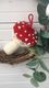 Fly Agaric Mushroom Amanita Muscaria Knitting Pattern
