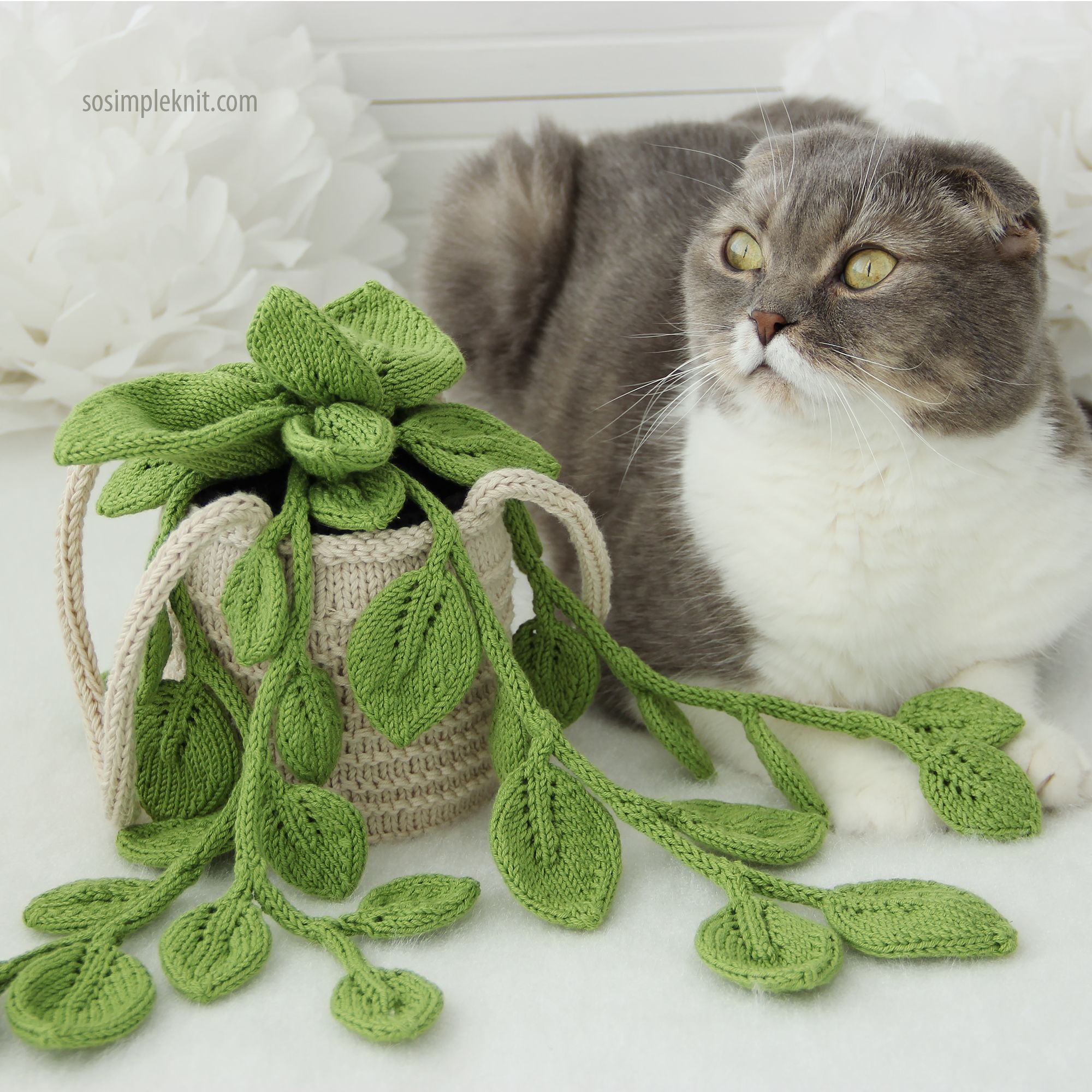 A knitted pothos plant with long, trailing green leaves is displayed in a beige pot, accompanied by a gray and white cat looking to the side. The leaves are a vibrant green, and the pot features a textured pattern. The background consists of soft white decorative elements that enhance the overall brightness of the scene.