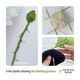 The image features three small photos showcasing the knitting process for a pothos plant pattern. The left photo shows a green knitted leaf and a long green stem with stitch markers. The top right photo displays a flat, circular piece knitted in a light beige color. The bottom right photo depicts a person’s hand holding a black knitted piece, highlighting various textures. The background is light and neutral, creating a clean presentation of the knitting project.