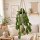 A knitted pothos plant hangs in a neutral-toned macrame planter, featuring vibrant green leaves cascading down. The background includes a light-colored couch with a textured throw pillow, a woven wall hanging, and decorative plants in the room, creating a cozy, inviting atmosphere. The text "Knitting pattern PDF" is partially visible in the upper left corner.