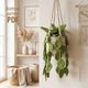 The image features a knitted pothos hanging plant in a textured beige planter, suspended by green and cream ropes. The plant has vibrant green leaves, with various shades depicting a natural look. In the background, there is a softly lit room with light-colored walls, a woven basket on the floor, and decorative framed botanical prints on the wall, adding a natural aesthetic. The title "Knitting pattern PDF" is positioned in a brown font on the left side.