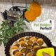 The image features a close-up of a baked dish with a golden crust topped with slices of plums and mandarin oranges, placed in a dark round baking pan. Above it, a bright orange knitted pumpkin pot holder hangs from a black wire rack, which also holds glass jars. In the foreground, there is a green knitted item resembling a small pot holder. The background consists of a tiled wall and the greenery of a plant, adding a natural touch to the kitchen setting.